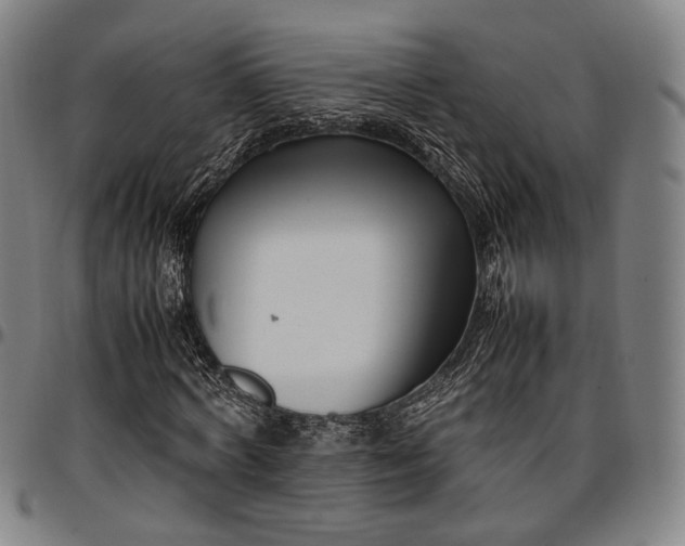 X0000096670772200802191329