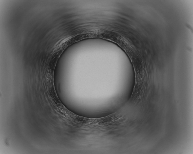 X0000096670773200802191328