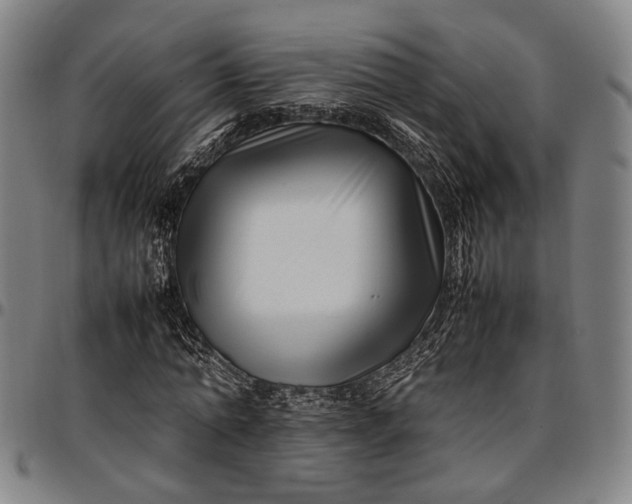 X0000096670774200802191328