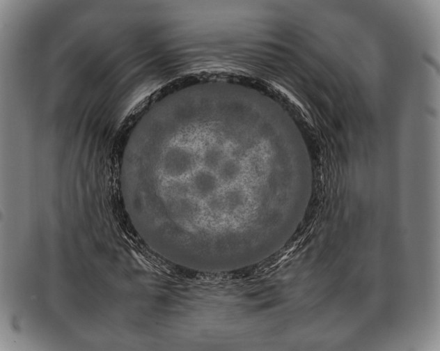 X0000096670775200802191328