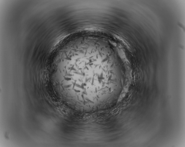 X0000096670776200802191328