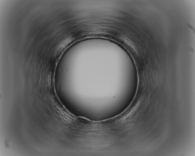 X0000096670777200802191328
