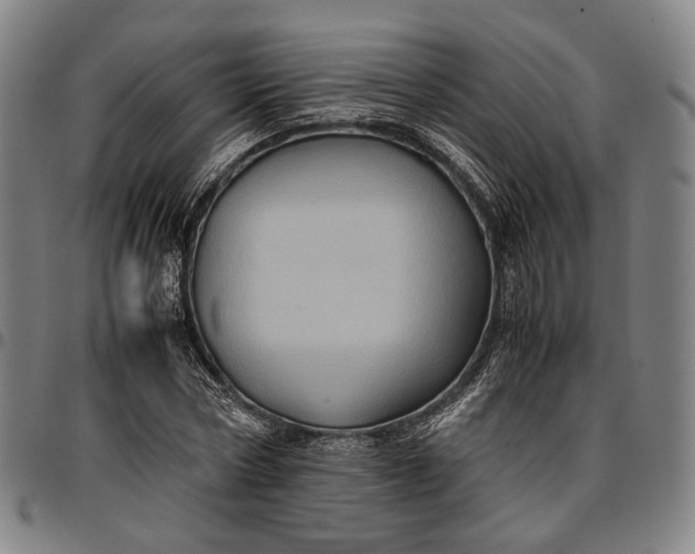 X0000096670778200802191328
