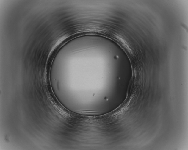 X0000096670780200802191328