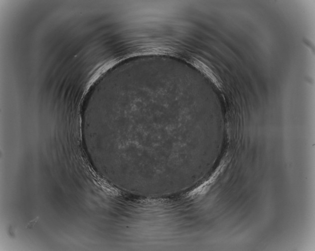 X0000096670781200802191328