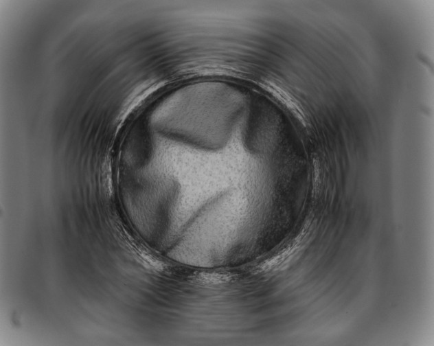 X0000096670782200802191328