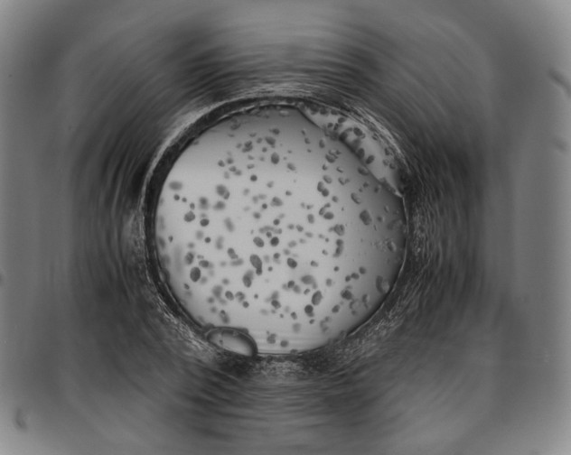 X0000096670784200802191328