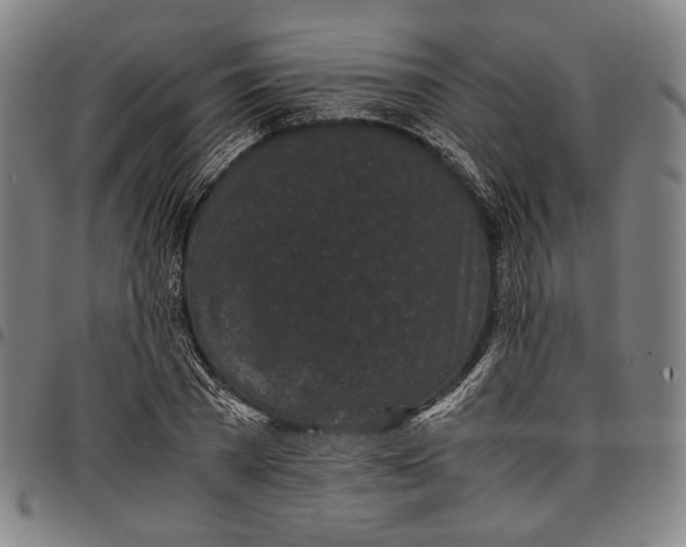 X0000096670785200802191328