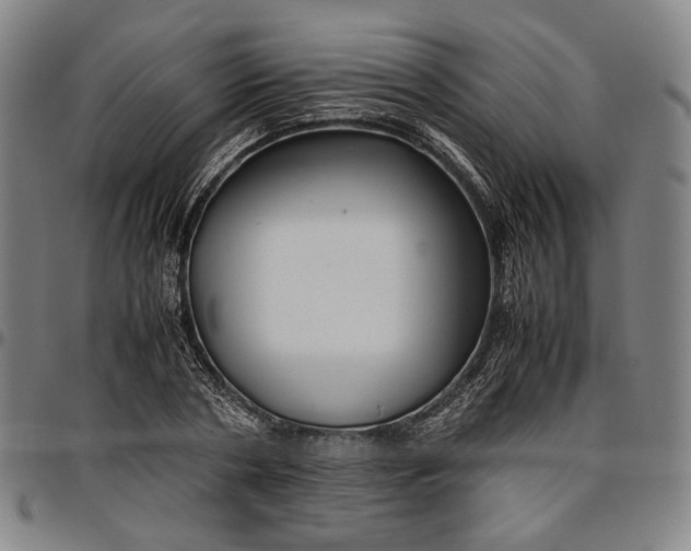 X0000096670786200802191328