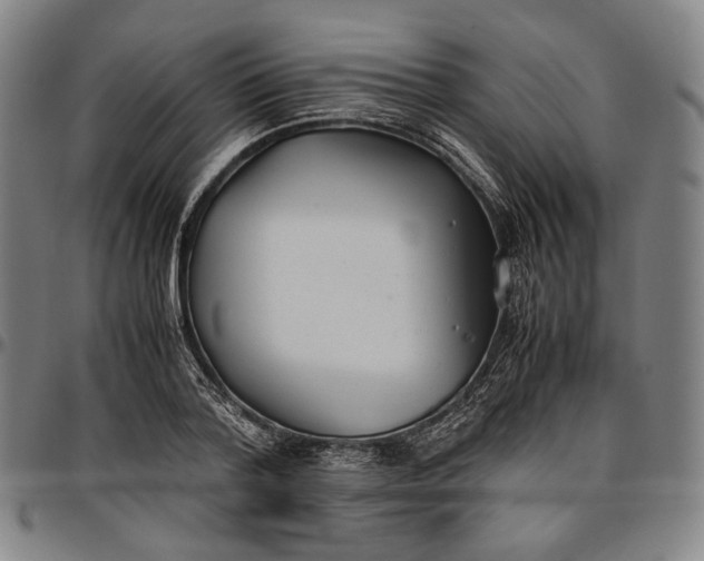 X0000096670788200802191328