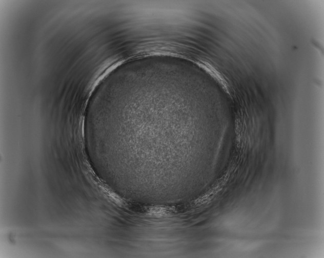 X0000096670790200802191328