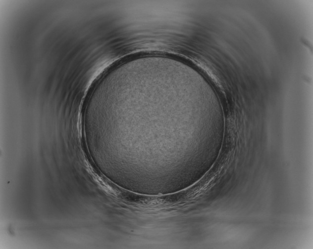 X0000096670791200802191328