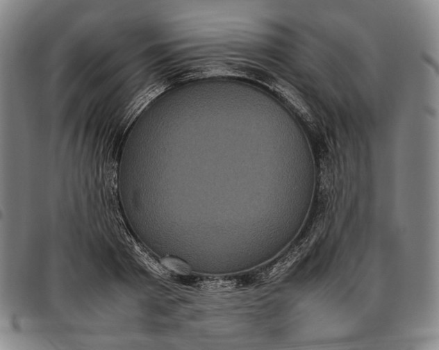 X0000096670793200802191328