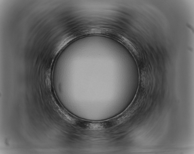 X0000096670794200802191328