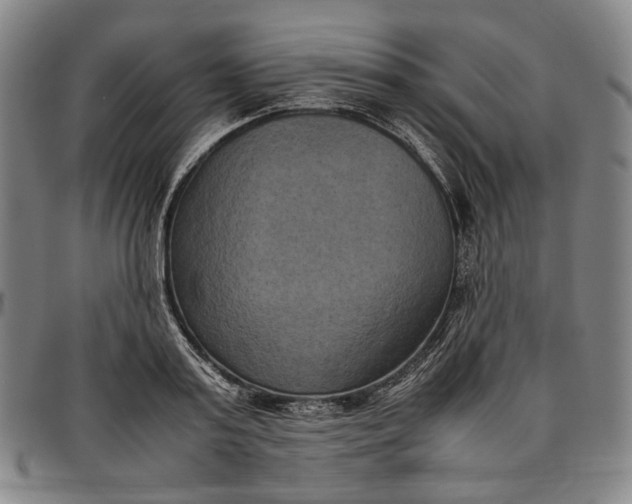 X0000096670795200802191328
