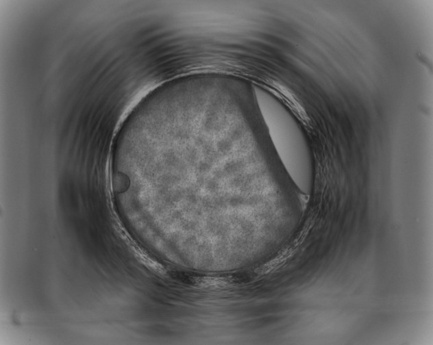 X0000096670796200802191328