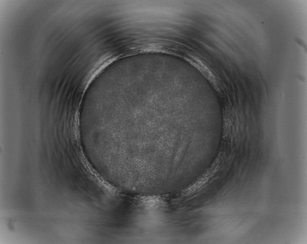 X0000096670798200802191328