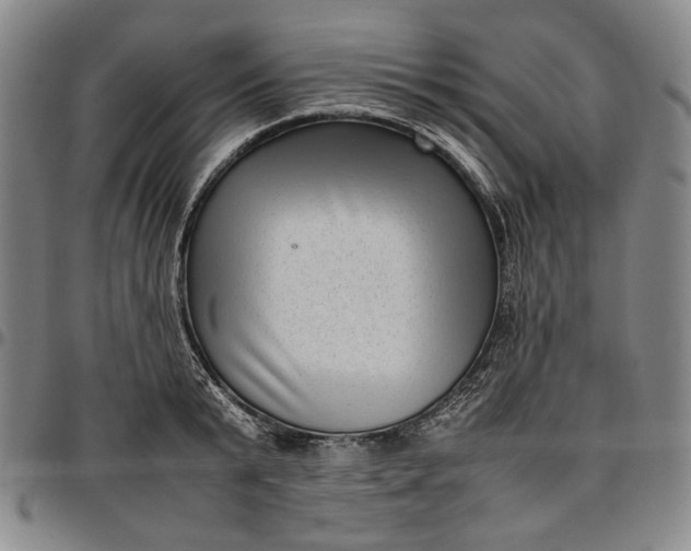 X0000096670799200802191328