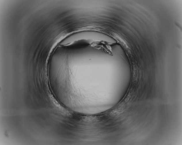 X0000096670800200802191328