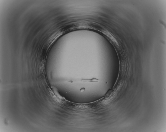 X0000096670801200802191328