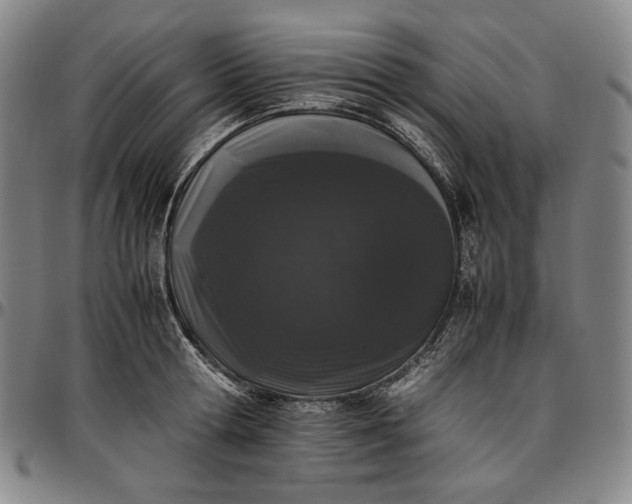 X0000096670802200802191328