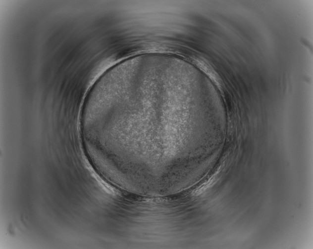 X0000096670803200802191328