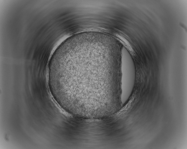 X0000096670804200802191328