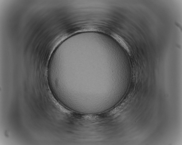 X0000096670805200802191328