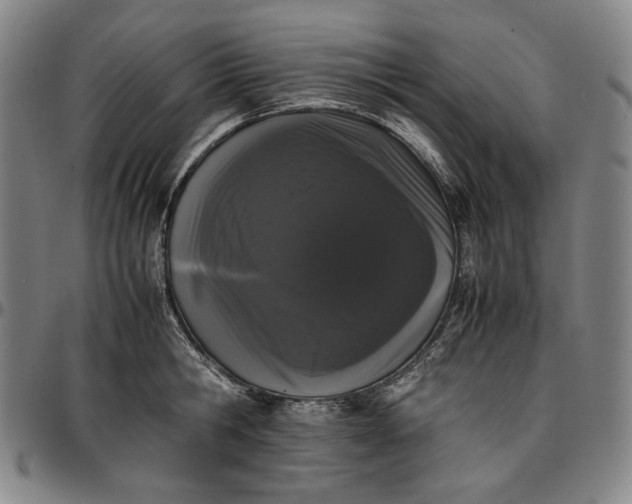 X0000096670806200802191328