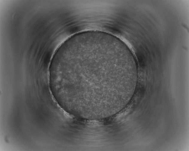 X0000096670807200802191328