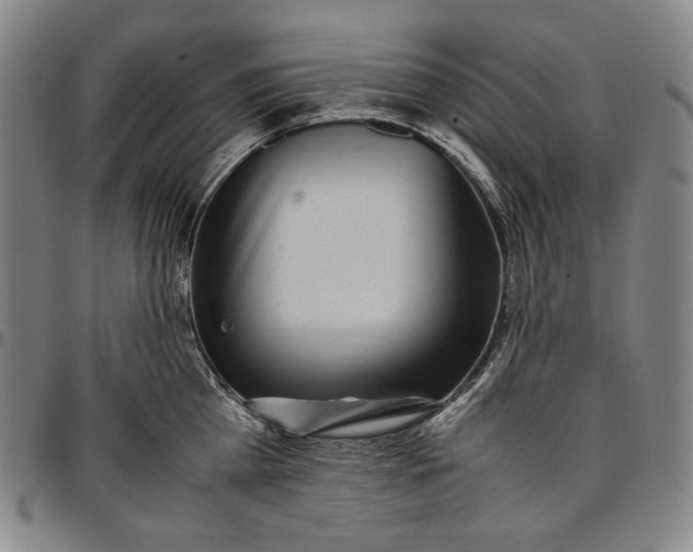 X0000096670809200802191328