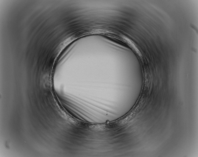 X0000096670810200802191328