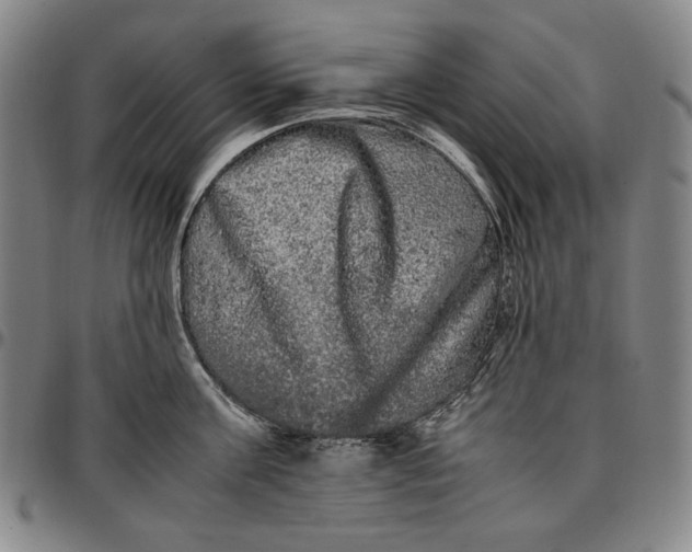 X0000096670811200802191328