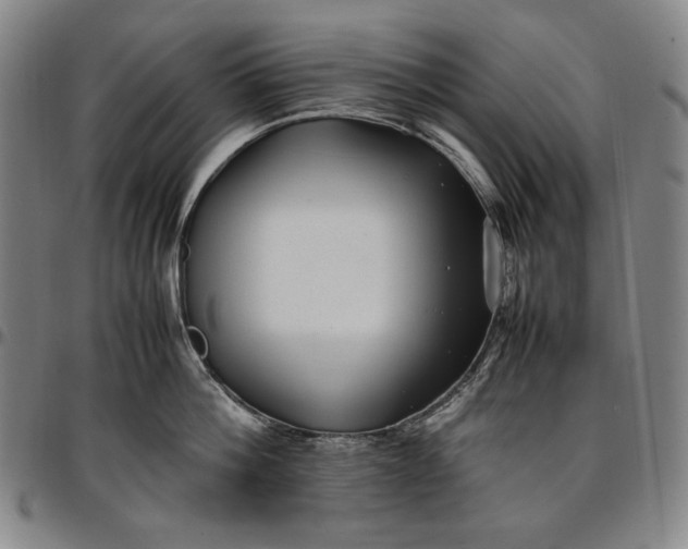 X0000096670812200802191328