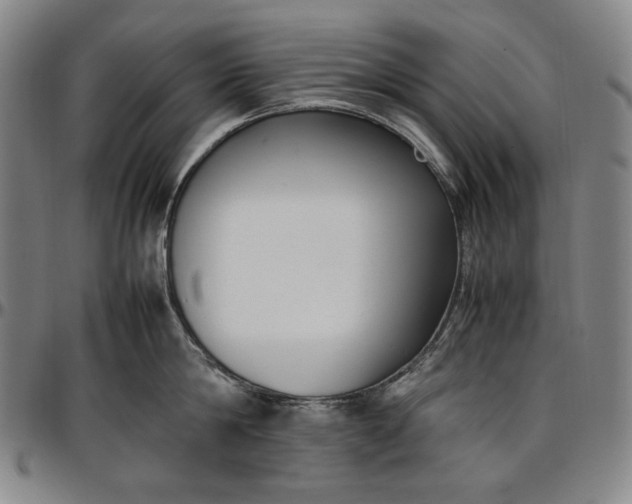 X0000096670814200802191328