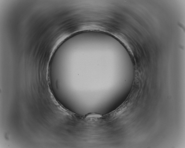 X0000096670815200802191328