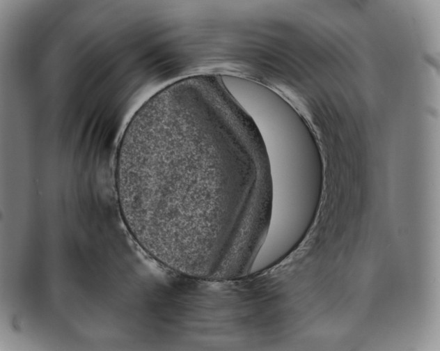 X0000096670816200802191328