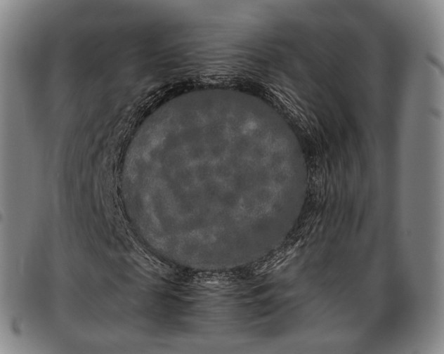 X0000096670817200802191327