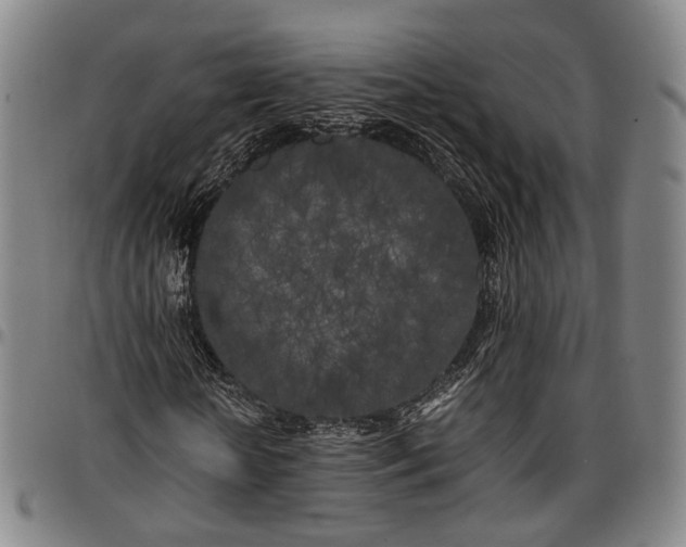 X0000096670818200802191327