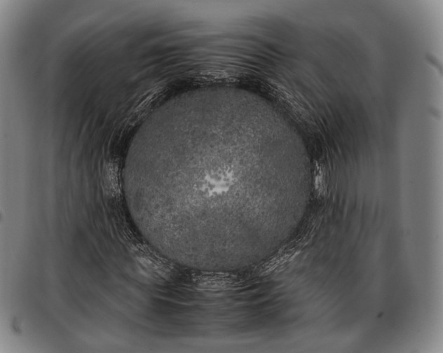 X0000096670819200802191327
