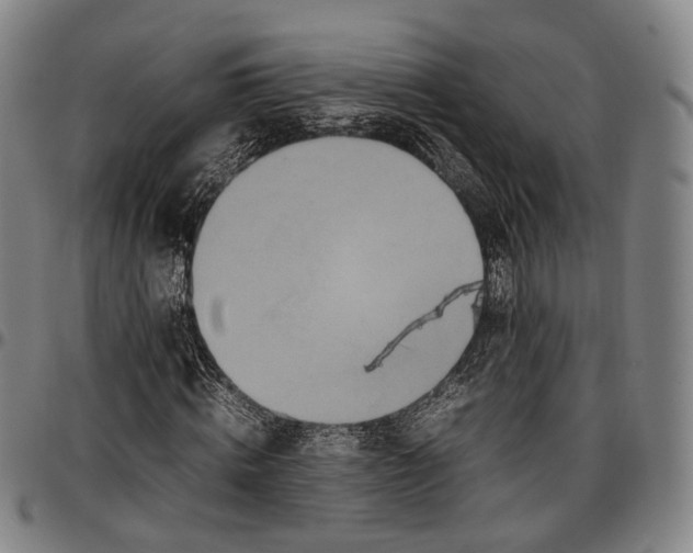 X0000096670820200802191327
