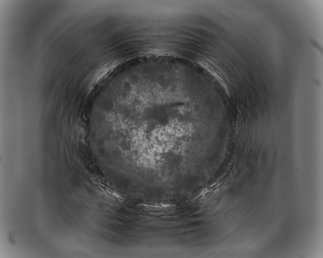 X0000096670823200802191327