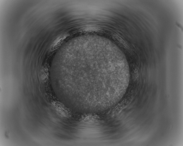 X0000096670824200802191327