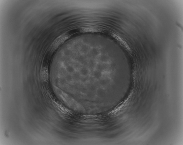 X0000096670825200802191327