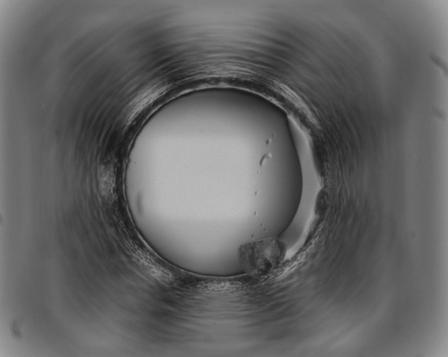 X0000096670826200802191327