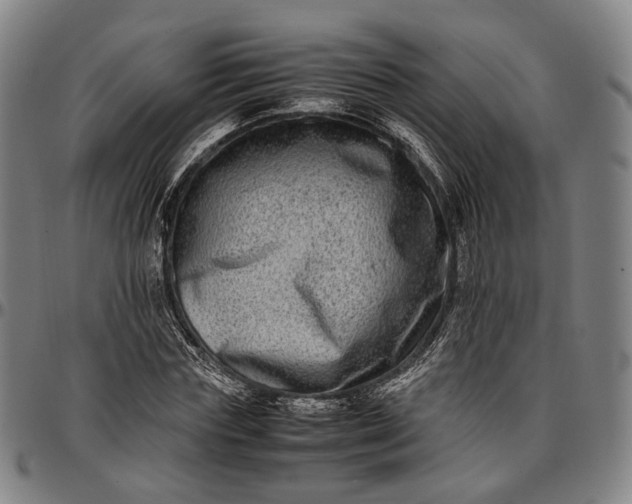X0000096670827200802191327