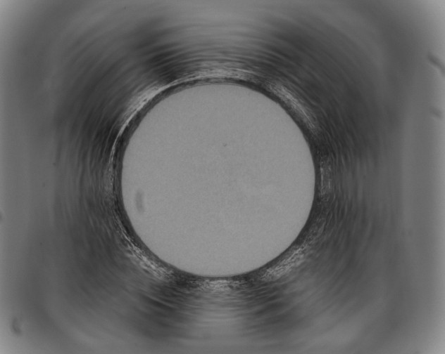 X0000096670828200802191327