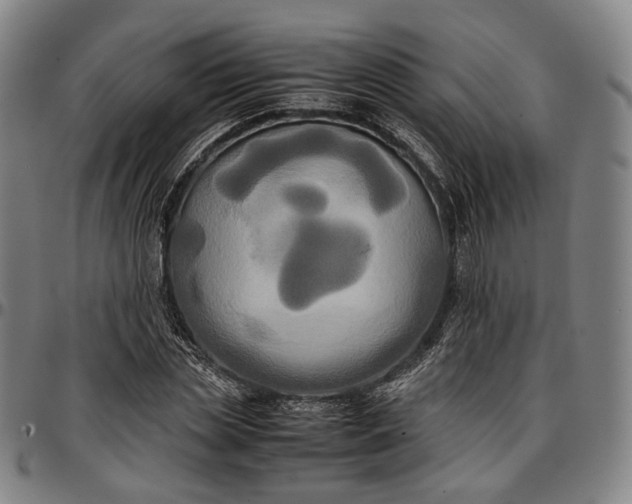X0000096670829200802191327