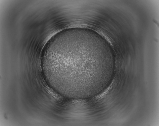 X0000096670830200802191327