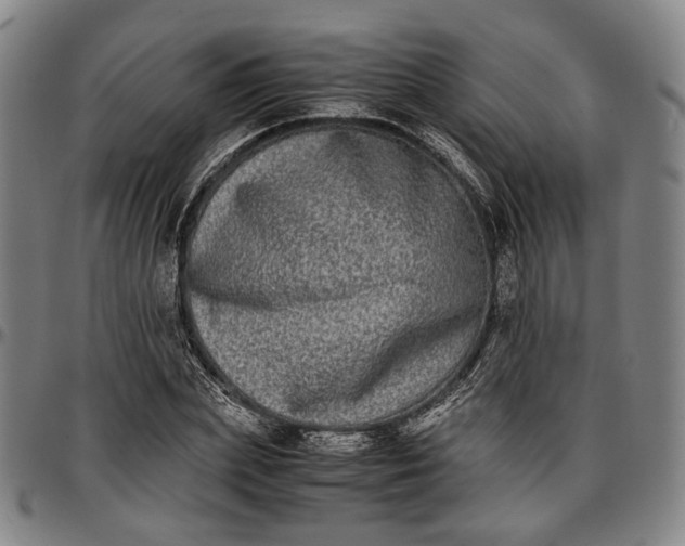 X0000096670831200802191327